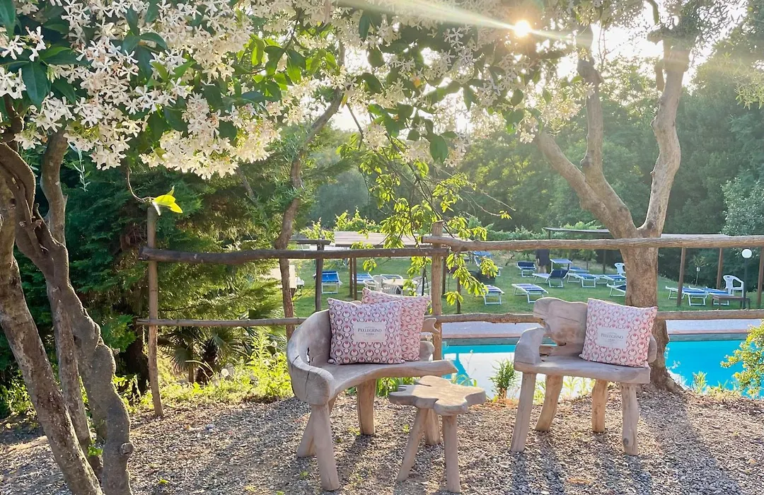B&B Alloro-1