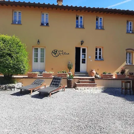 B&B Alloro-2