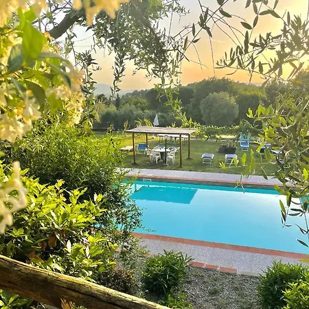 B&B Alloro-3