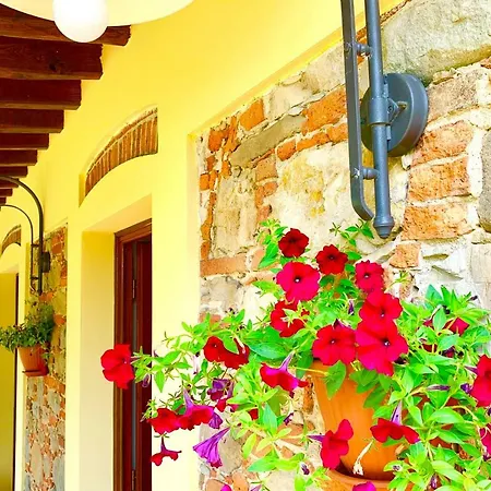 B&B La Fornace del Sole-3